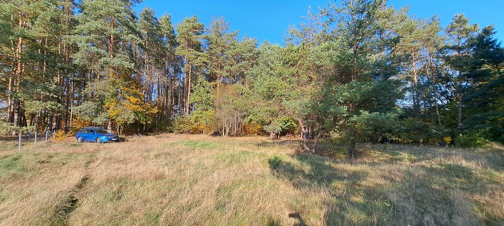 Przepiękna działka w Lutolu Mokrym o powierzchni 0,2737ha