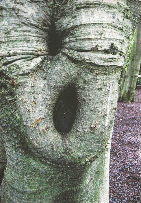 Histórias e Factos Na Vida De Um Clínico