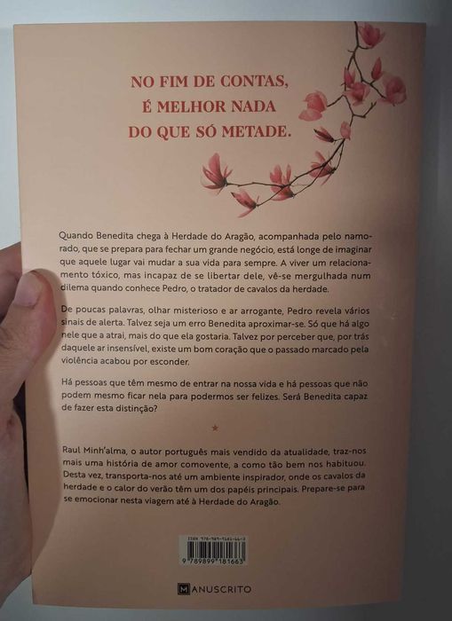 Fomos Mais do que um Erro - Raul Minh'alma
