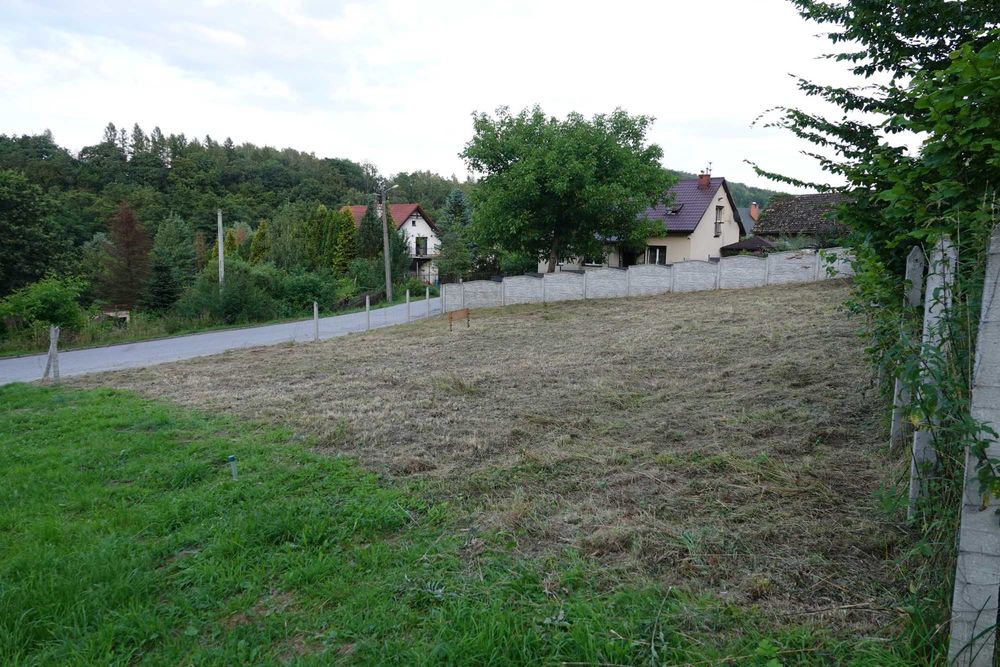 Zdjęcie 2