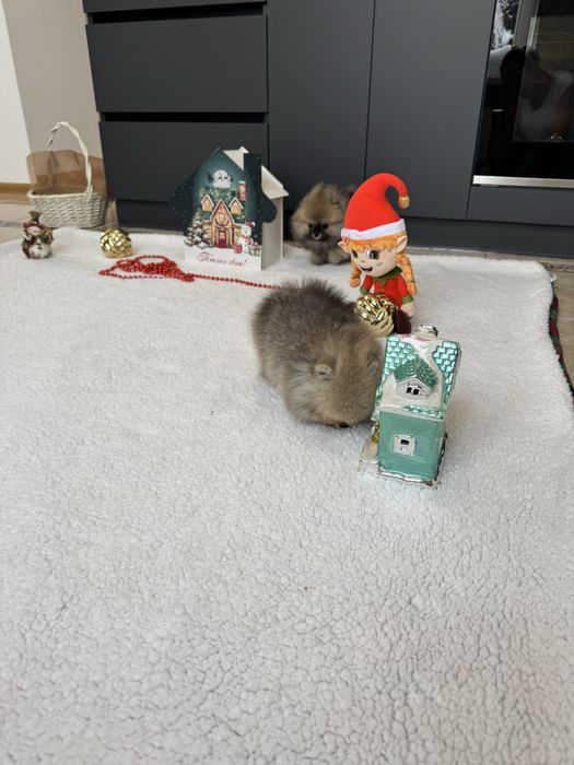 Ексклюзивчик!СУПЕР-МІНІ хлопчик