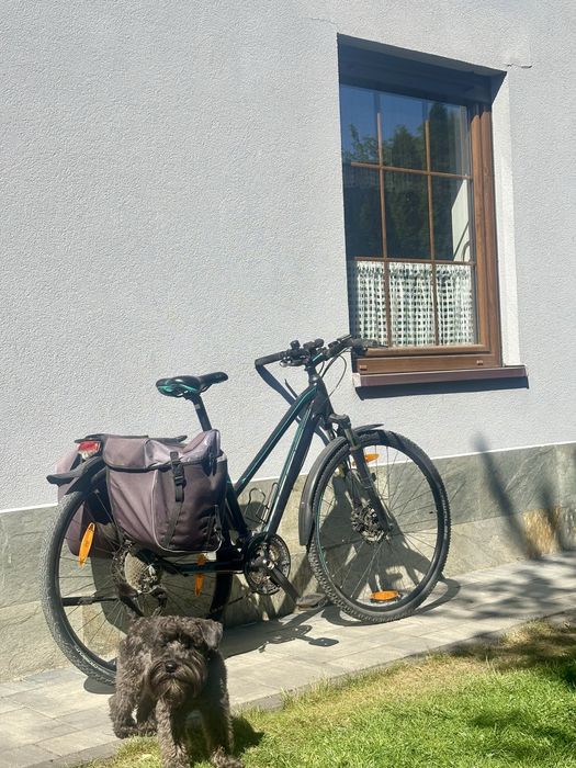 Rower trekkingowy scott