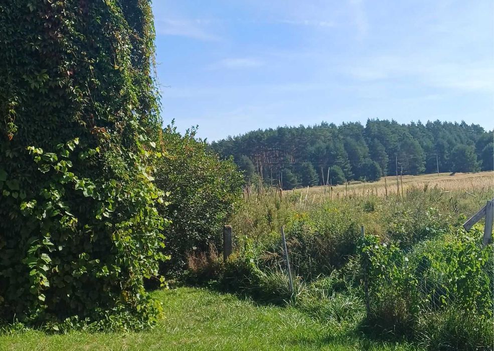 Noclegi pracownicze - agroturystyka