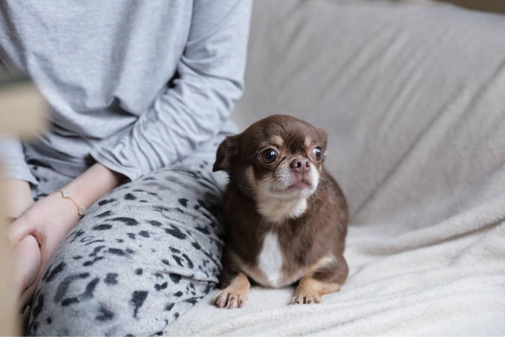 Взрослая девочка в семью