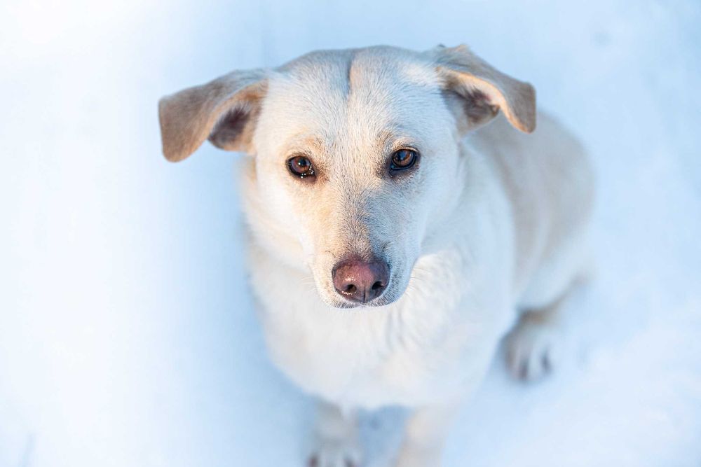 Lumea: młoda, rezolutna i przyjazna