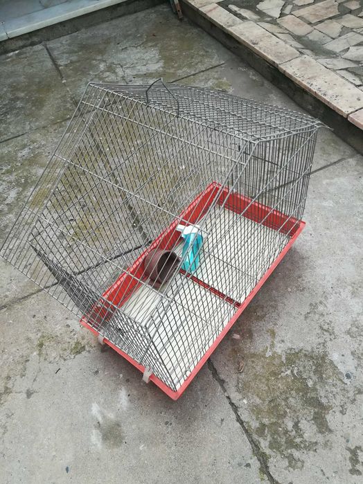 Gaiola para aves 62x37x58cm