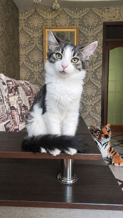 Хлопчик і дівчинка, 4,5 міс.