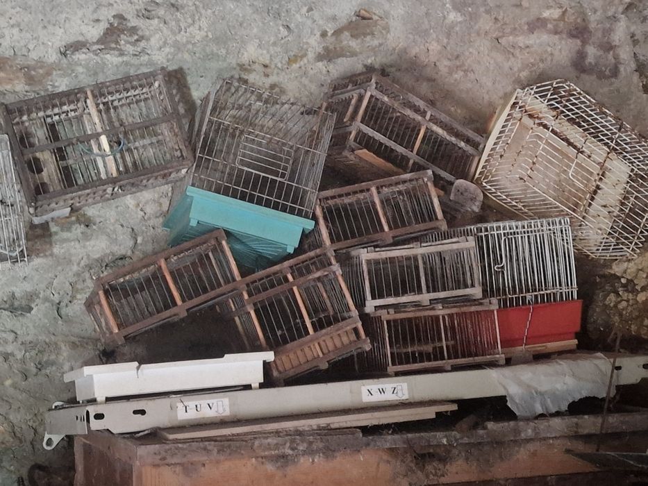 Gaiolas para pássaros de pequeno porte