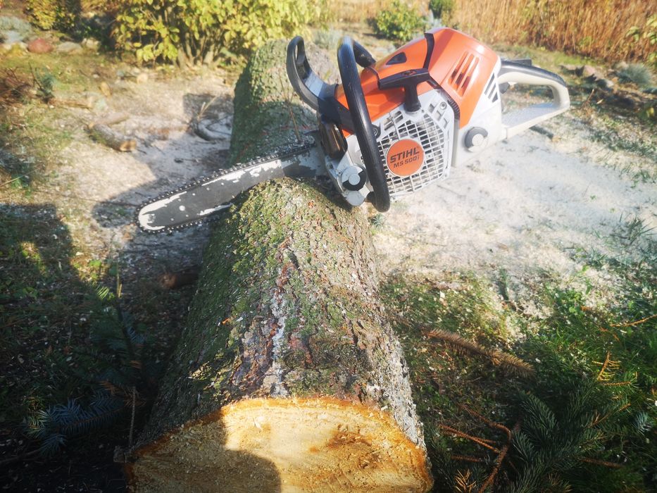 Wycinka, pielęgnacja drzew