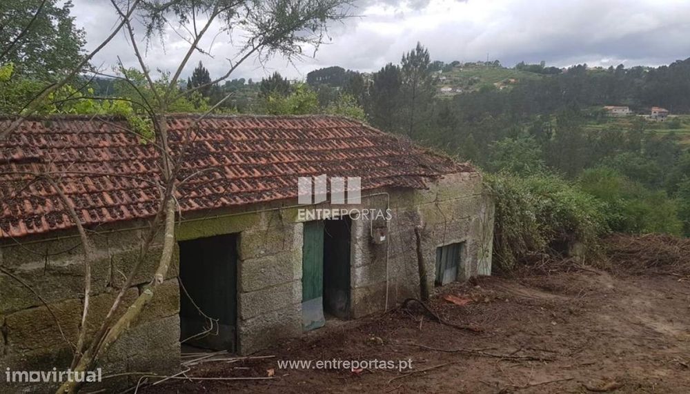 For Sale: Quinta with Stone House, Várzea de Ovelha e Aliviada, Marco de Canaveses