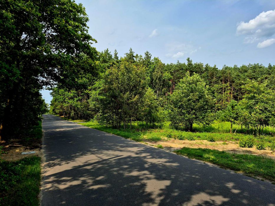 Działka - spokój, las, asfalt. Aleksandrów Ł., budowlana