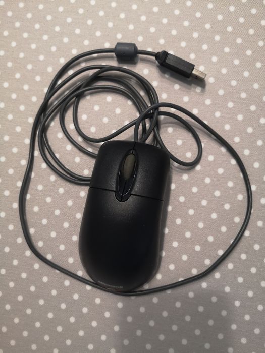 Rato da Microsoft novo
