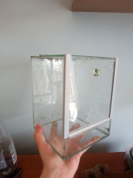 Terrarium pionowe szklane wysyłka