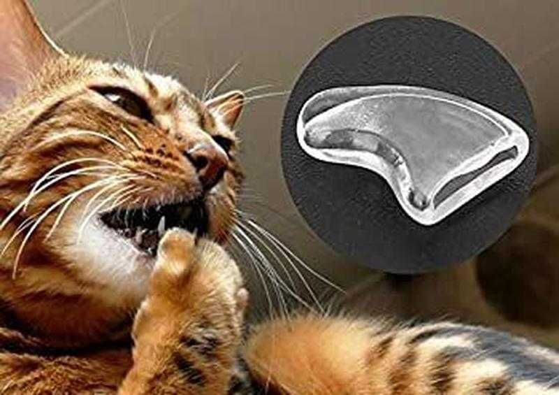 защита для кошачьих ногтей с клеем , против царапин (белые 20шт