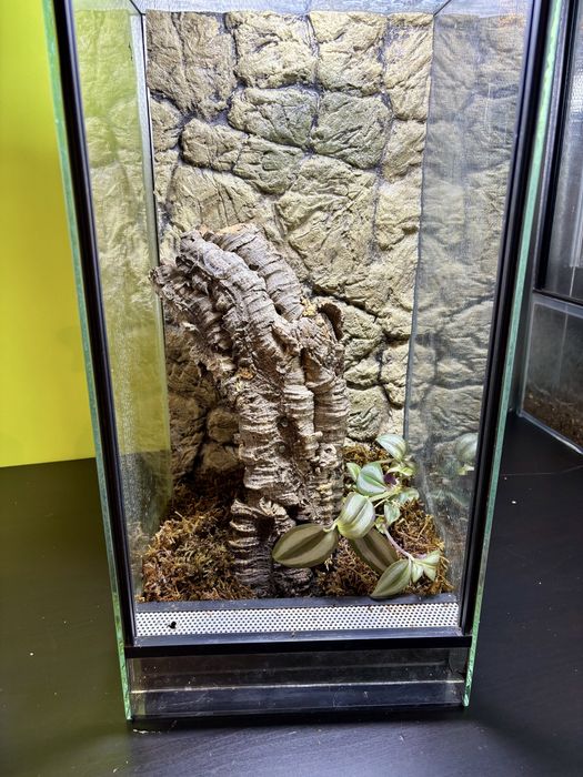 Terrarium 25x25x50 tło strukturalne