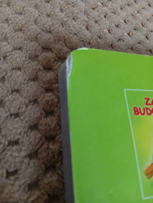 Książeczka dzielny żółwik