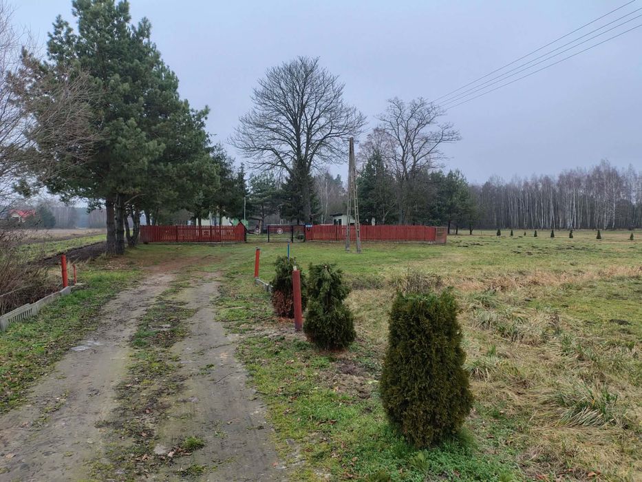 Siedlisko w Łosinnym, blisko Wyszkowa