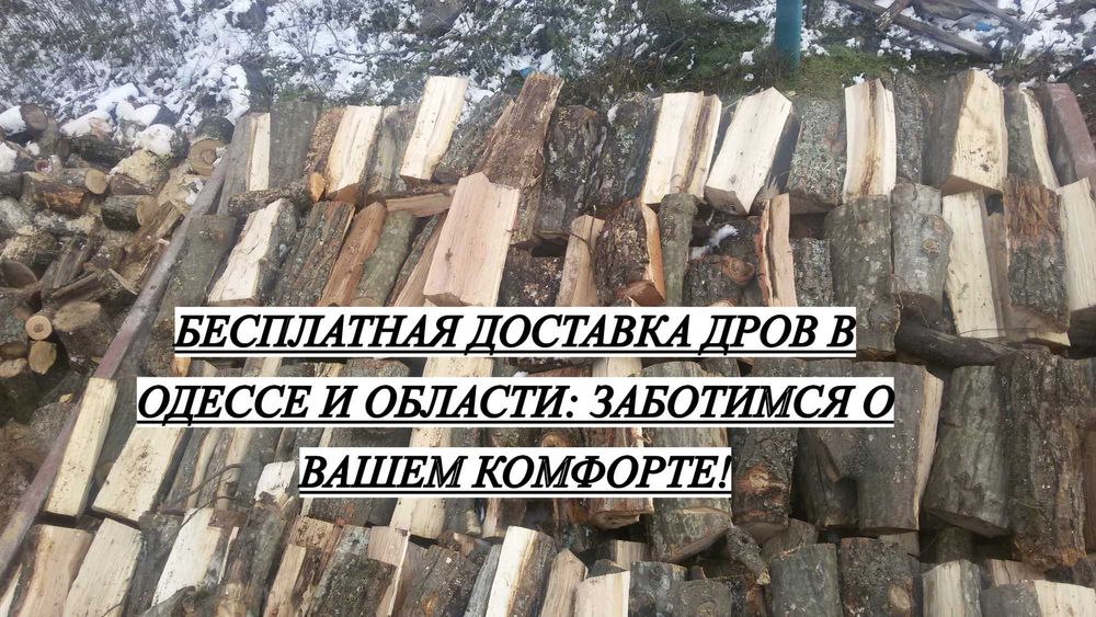 Бесплатная доставка! Дрова из ясеня и другие породы в наличии