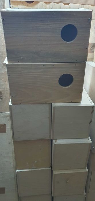 Ninhos usados em bom estado