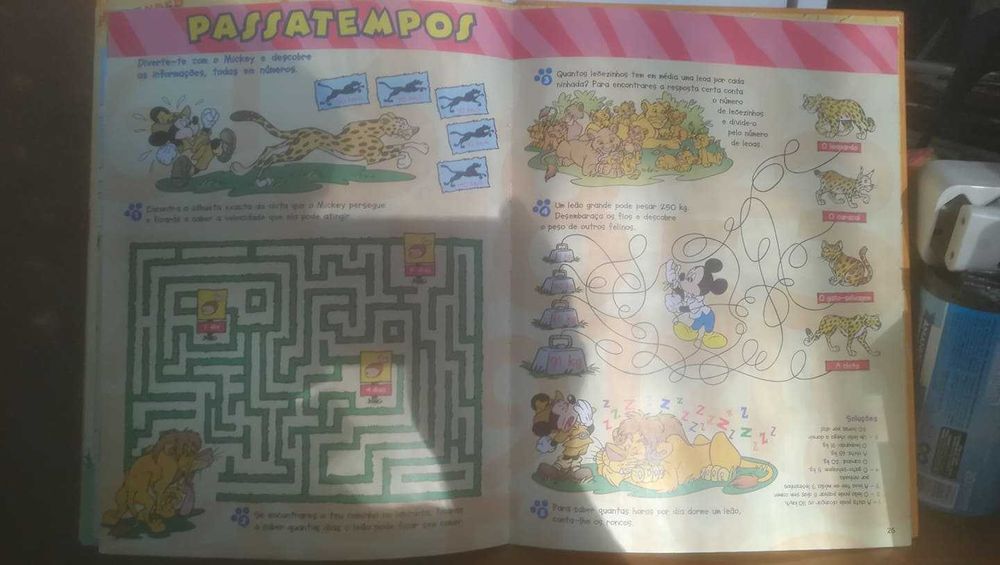 O mundo maravilhosos dos animais - Os Leões