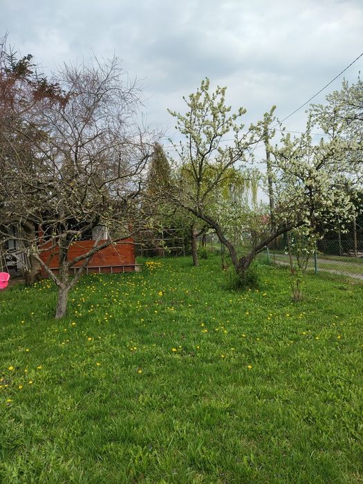 Działka rekreacyjna ROD ul. Solskiego 411m² - Więcej