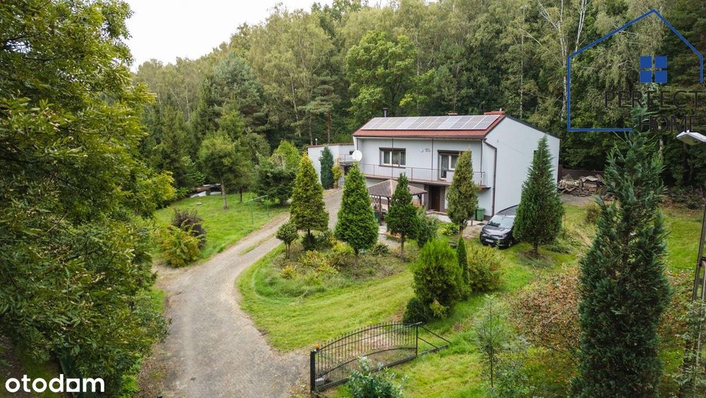 Ocieplony Zadbany Dom do wprowadzenia usytuowany wokół Lasu! Rydułtowy