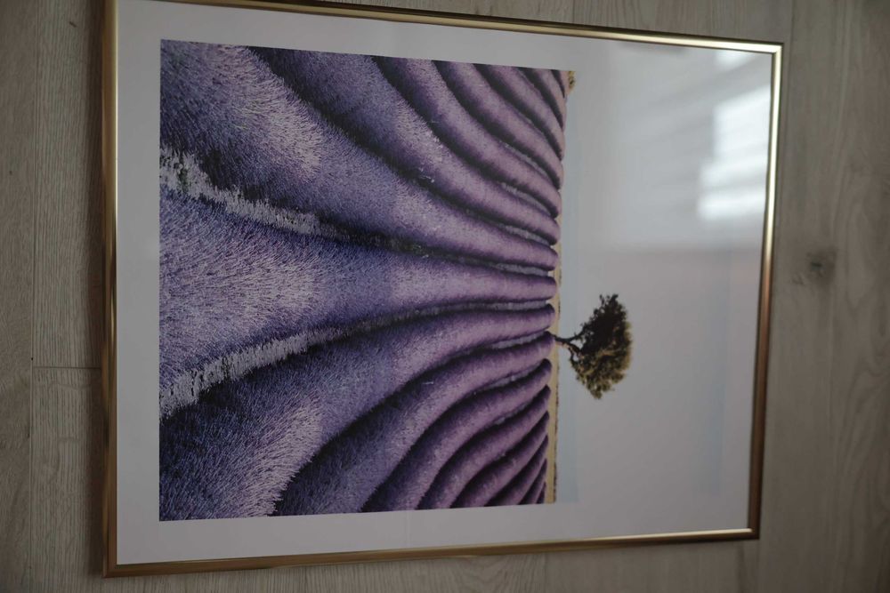 Plakat w złotej ramie lawendowe pole 40 cm x 50 cm