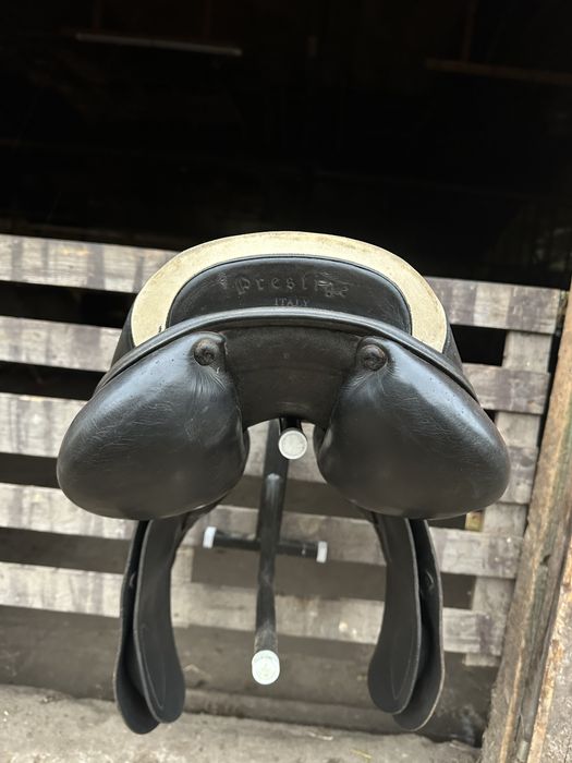 Prestige sydney 32/17