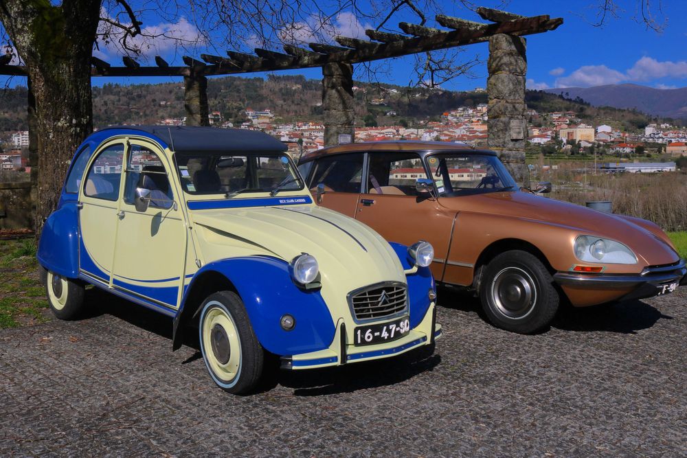 Clássicos para Casamentos/Eventos