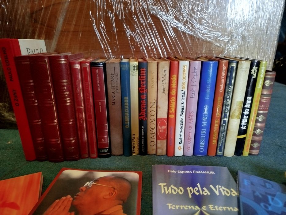 Vários livros e leituras
