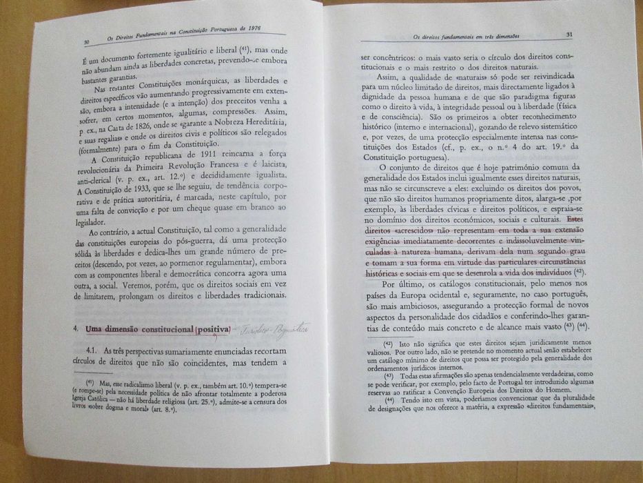 Os Direitos Fundamentais na Constituição Portuguesa, Vieira de Andrade