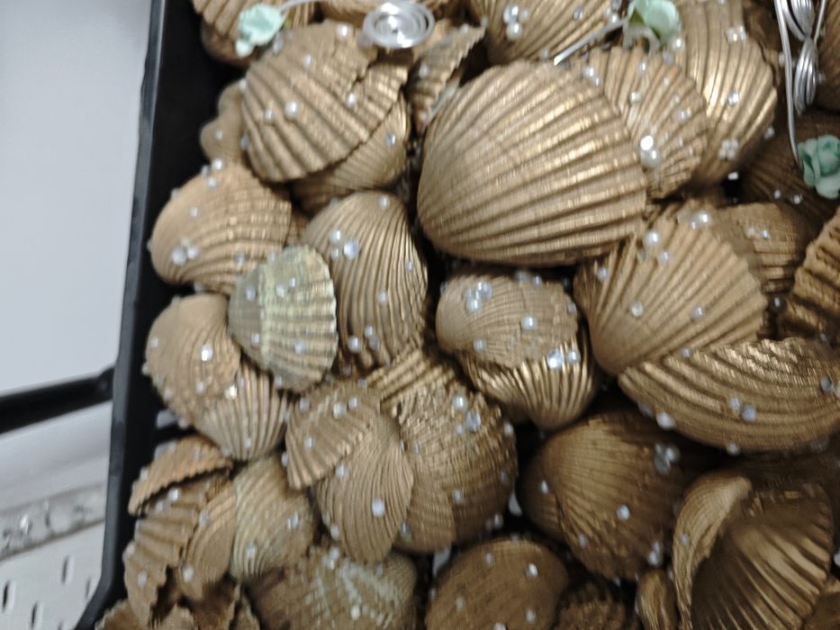 Conchas  Búzios Decoração ecoração