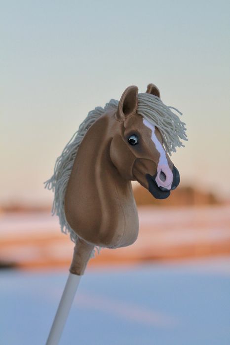 Hobby horse mes propozycje cenowe
