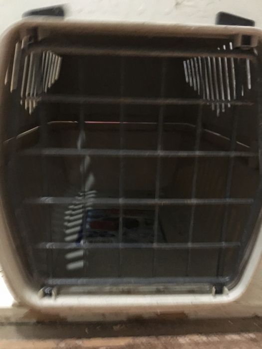 Casota transporte animais