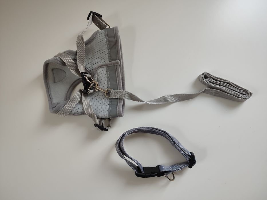 Нашийник та мотузка для песика нові