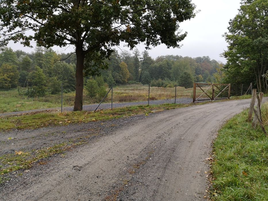 Działka budowlana 3900 m² nad Jeziorem Brodzkim – Jeziory Wysokie woj.lubuskie - Więcej