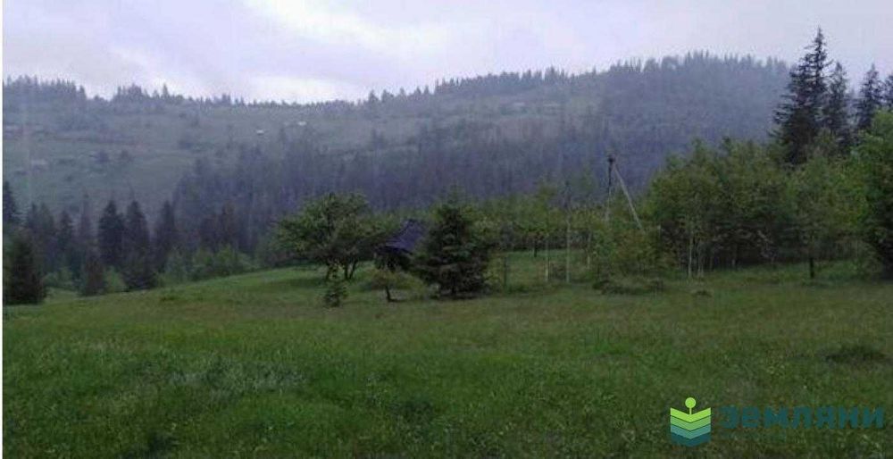 Видова ділянка в Микуличині 72 сот