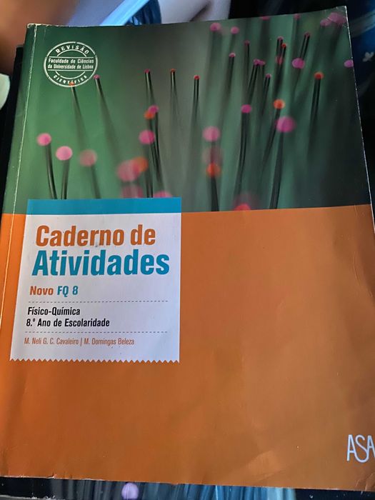 Novo FQ 8 Caderno de Atividades
