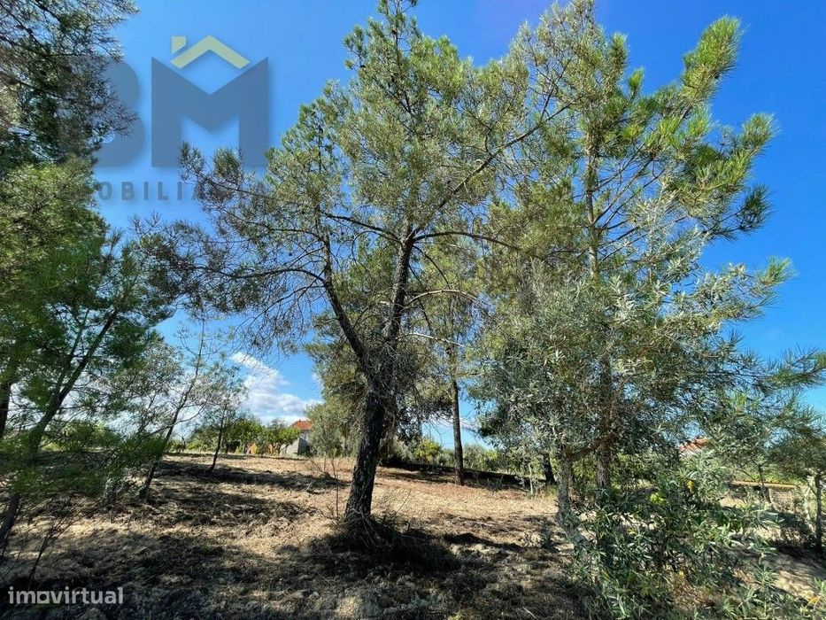Terreno de 4000m² à Venda em Freixial do Campo