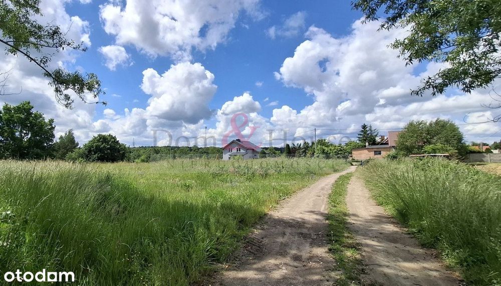 Wyjątkowa oferta – dwie działki w Kłodawie 4890 m² - Widok 5
