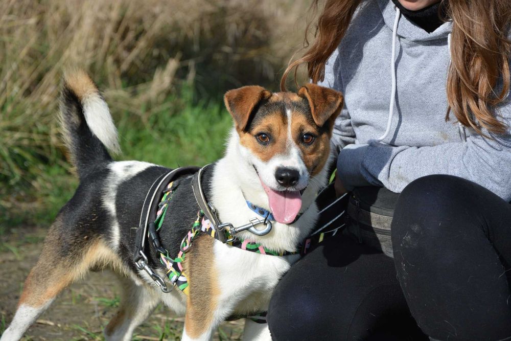 Rio nie widzi świata – ale szuka w nim swojego człowieka
