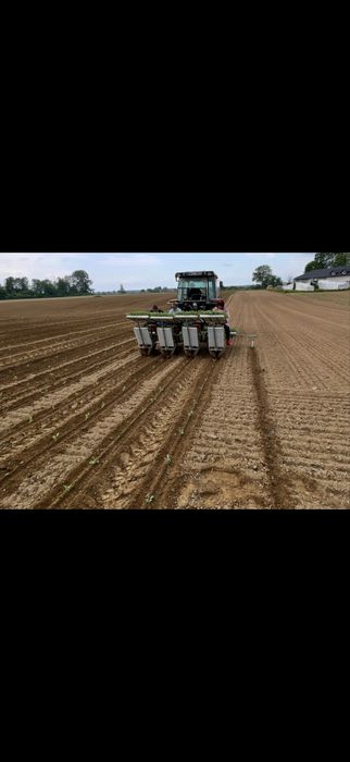 Sadzarka do rozsady warzyw karuzelowa solan