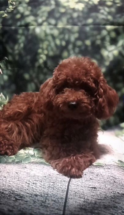 Хлопчик. 6 місяців