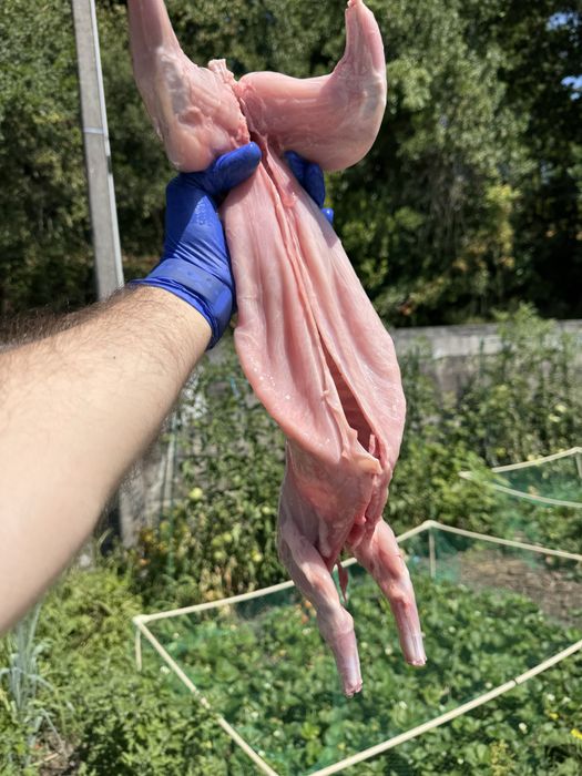 Coelho caseiro pronto a comer