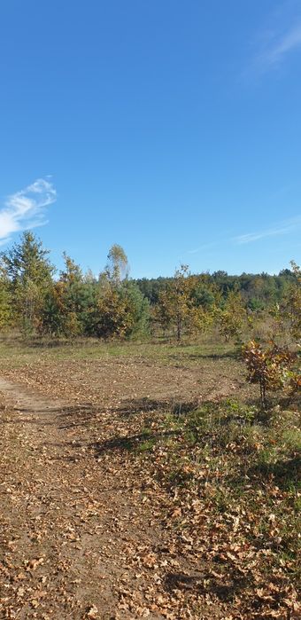 Продається земельна ділянка 12 сот біля річки в Денишах – місце, де природа надихає!