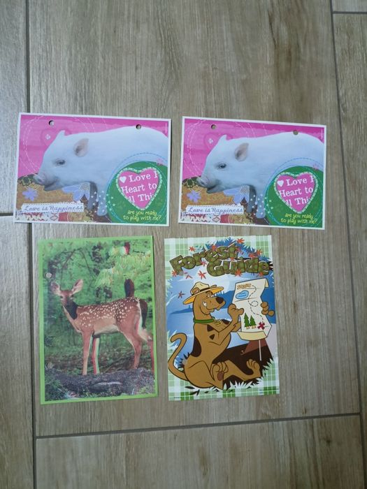 Karteczki do segregatora