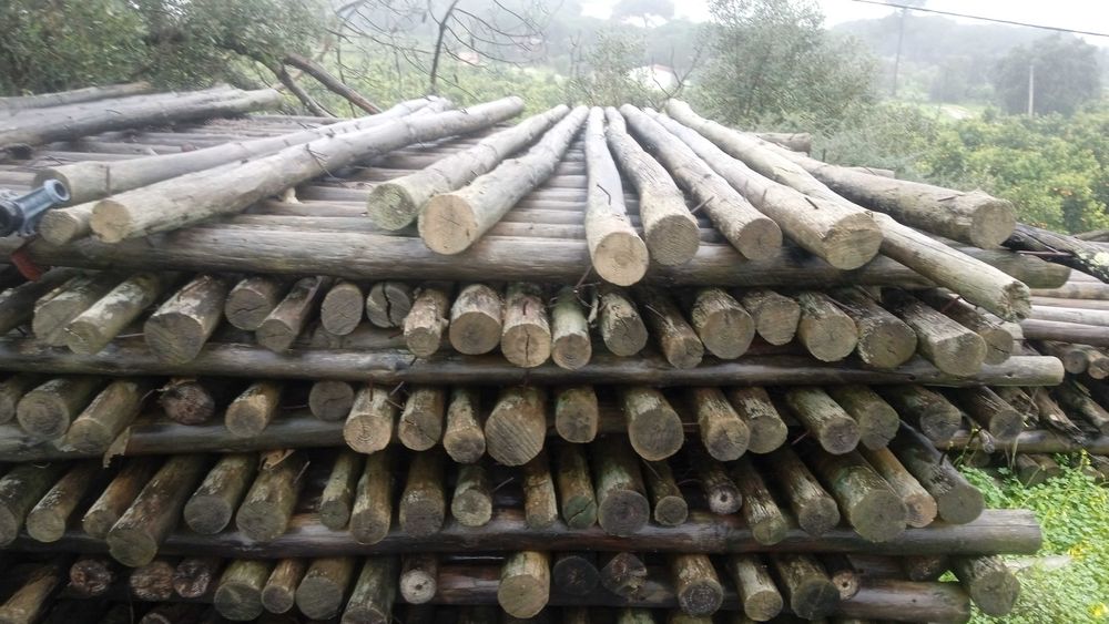 Postes de madeira tratada - barrotes, paus de estufa.