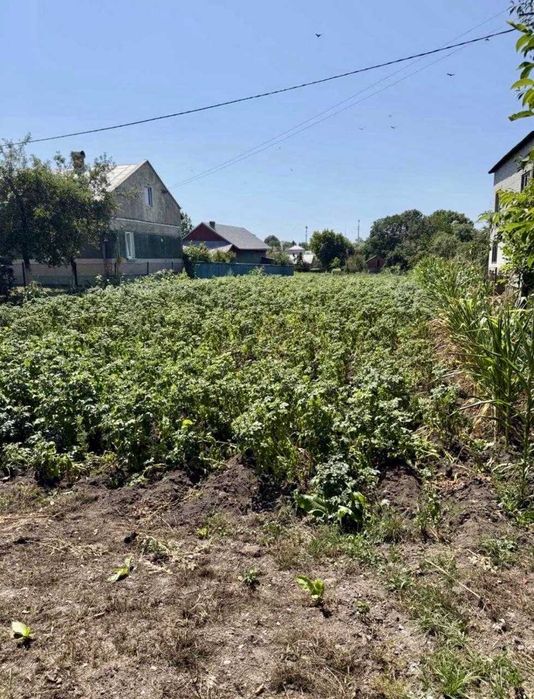 Продаж земельної ділянки в СОЛОНЦІ