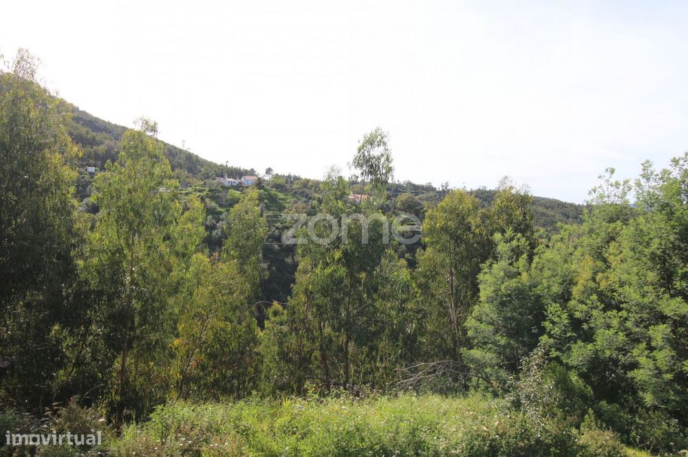 Terreno Rústico com 5.400 m² – Pontalinhos, Monchique