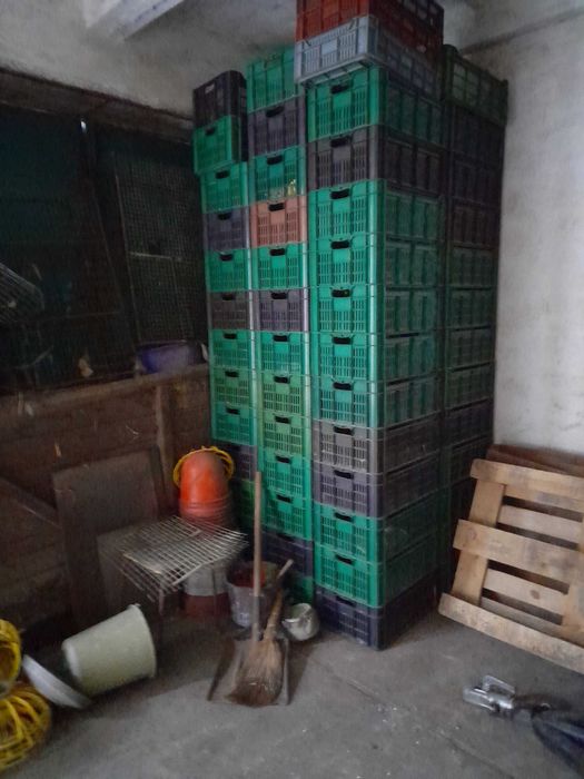 Продам ящики пластикові Венгрія